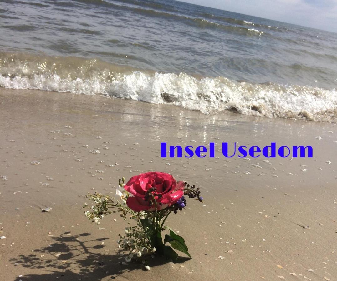 Apartment Mit Terrasse - Insel Usedom