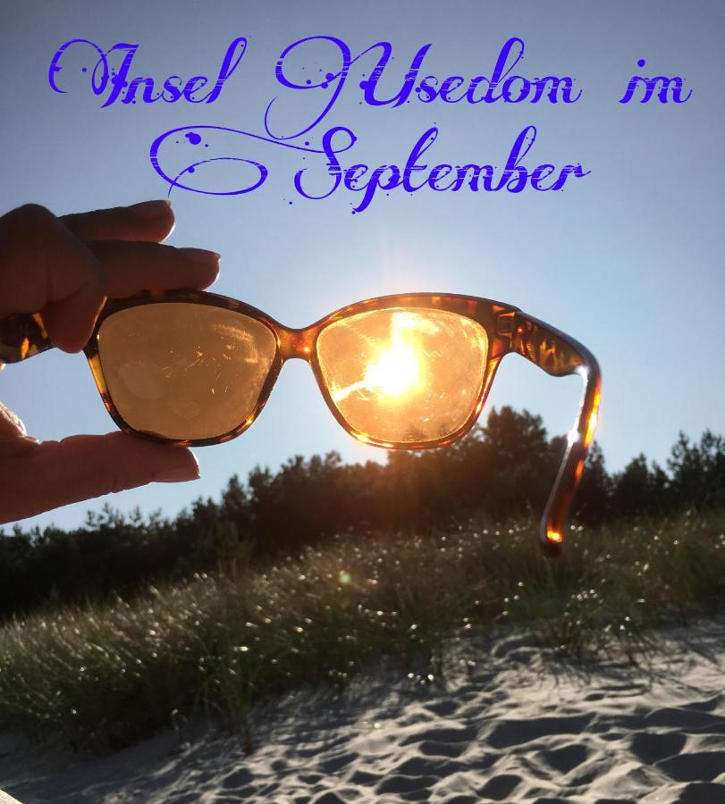 Mit Terrasse - Insel Usedom *