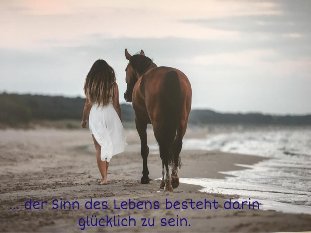 Mit Terrasse - Insel Usedom * Trassenheide
