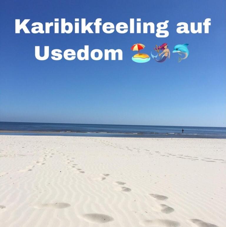 Mit Terrasse - Insel Usedom * Trassenheide